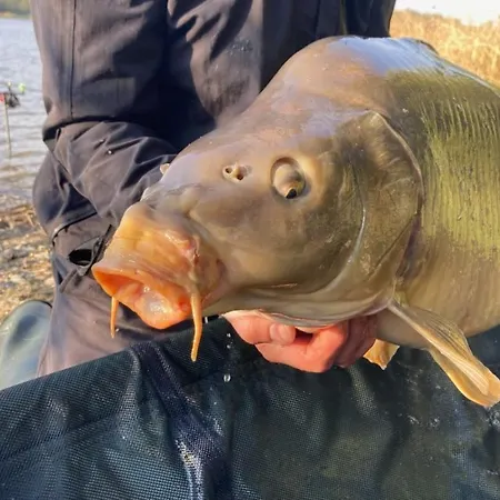 Przy Lowisku Niesiolowice,jezioro Czarne * Niesiolowice